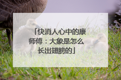 快消人心中的康师傅：大象是怎么长出翅膀的