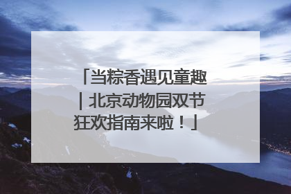 当粽香遇见童趣｜北京动物园双节狂欢指南来啦！