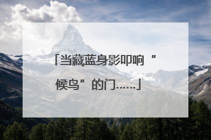 当藏蓝身影叩响“候鸟”的门……