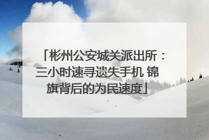 彬州公安城关派出所：三小时速寻遗失手机 锦旗背后的为民速度