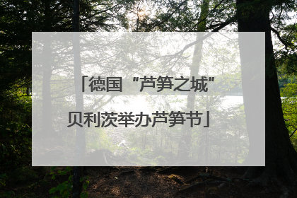 德国“芦笋之城”贝利茨举办芦笋节