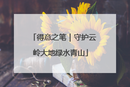 得意之笔｜守护云岭大地绿水青山