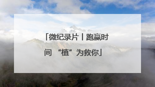 微纪录片丨跑赢时间 “植”为救你