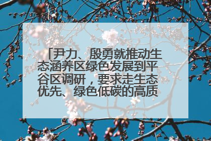 尹力、殷勇就推动生态涵养区绿色发展到平谷区调研，要求走生态优先、绿色低碳的高质量发展之路
