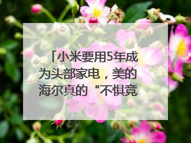 小米要用5年成为头部家电，美的海尔真的“不惧竞争”？｜热财经