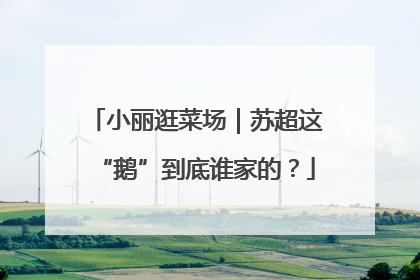 小丽逛菜场｜苏超这“鹅”到底谁家的？