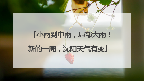 小雨到中雨，局部大雨！新的一周，沈阳天气有变