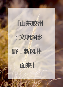 山东胶州：文明润乡野，新风扑面来