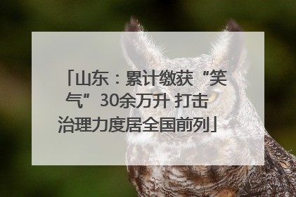 山东：累计缴获“笑气”30余万升 打击治理力度居全国前列