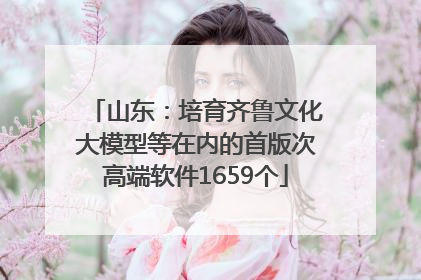 山东：培育齐鲁文化大模型等在内的首版次高端软件1659个
