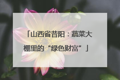 山西省昔阳：蔬菜大棚里的“绿色财富”