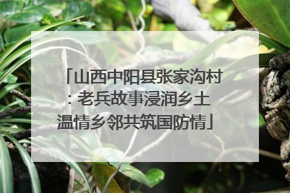 山西中阳县张家沟村：老兵故事浸润乡土 温情乡邻共筑国防情
