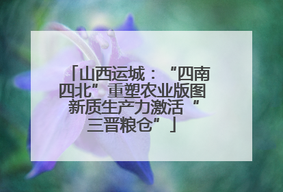 山西运城：“四南四北”重塑农业版图 新质生产力激活“三晋粮仓”