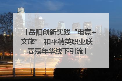 岳阳创新实践“电竞+文旅” 和平精英职业联赛嘉年华线下引流