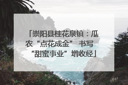 崇阳县桂花泉镇：瓜农“点花成金” 书写“甜蜜事业”增收经