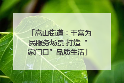 嵩山街道：丰富为民服务场景 打造“家门口”品质生活