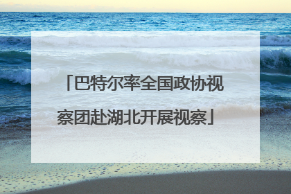 巴特尔率全国政协视察团赴湖北开展视察