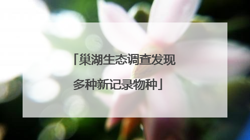 巢湖生态调查发现多种新记录物种