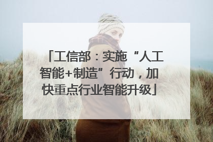 工信部：实施“人工智能+制造”行动，加快重点行业智能升级