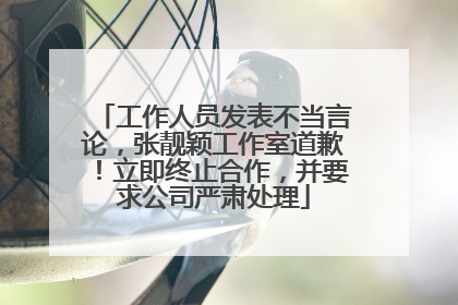 工作人员发表不当言论，张靓颖工作室道歉！立即终止合作，并要求公司严肃处理