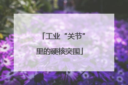 工业“关节”里的硬核突围