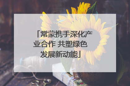 常蒙携手深化产业合作 共塑绿色发展新动能