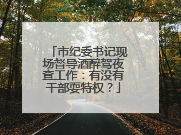 市纪委书记现场督导酒醉驾夜查工作：有没有干部耍特权？