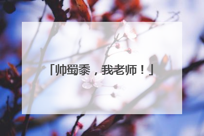 帅蜀黍，我老师！
