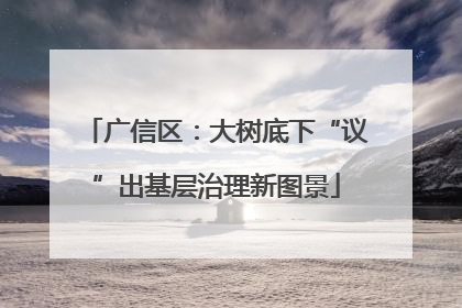 广信区：大树底下“议”出基层治理新图景