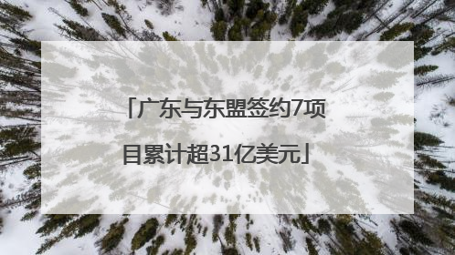 广东与东盟签约7项目累计超31亿美元