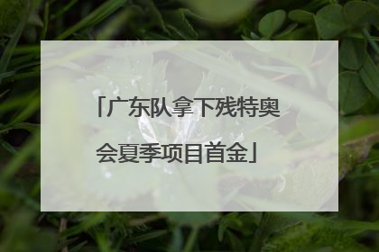 广东队拿下残特奥会夏季项目首金
