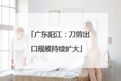 广东阳江：刀剪出口规模持续扩大