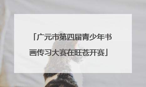 广元市第四届青少年书画传习大赛在旺苍开赛
