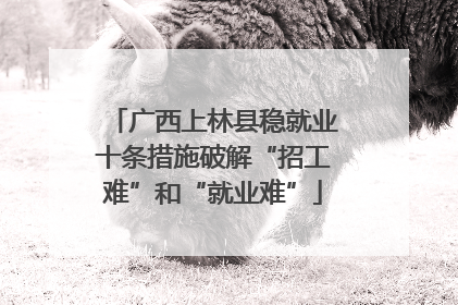 广西上林县稳就业十条措施破解“招工难”和“就业难”