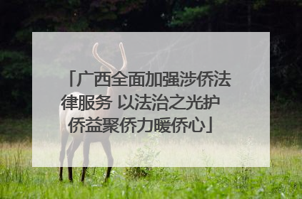 广西全面加强涉侨法律服务 以法治之光护侨益聚侨力暖侨心