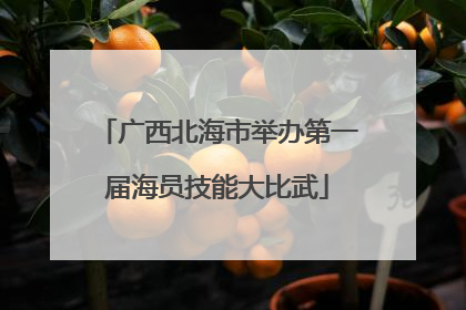 广西北海市举办第一届海员技能大比武