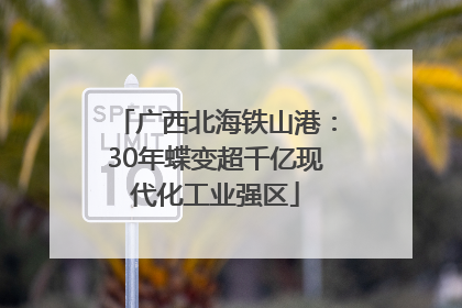 广西北海铁山港：30年蝶变超千亿现代化工业强区