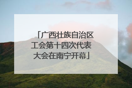 广西壮族自治区工会第十四次代表大会在南宁开幕