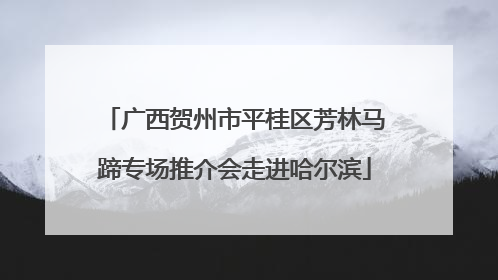 广西贺州市平桂区芳林马蹄专场推介会走进哈尔滨