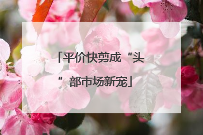 平价快剪成“头”部市场新宠