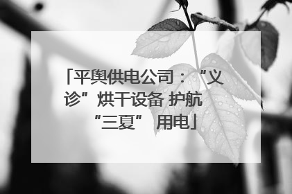 平舆供电公司：“义诊”烘干设备 护航 “三夏” 用电