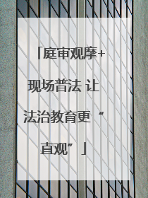 庭审观摩+现场普法 让法治教育更“直观”