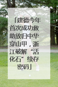 建德今年首次成功救助放归中华穿山甲，浙江破解“活化石”续存密码