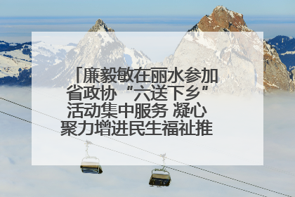 廉毅敏在丽水参加省政协“六送下乡”活动集中服务 凝心聚力增进民生福祉推进共同富裕