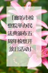 廊坊市检察院举办民法典颁布五周年检察开放日活动