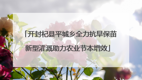 开封杞县平城乡全力抗旱保苗 新型灌溉助力农业节本增效