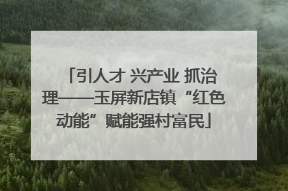 引人才 兴产业 抓治理——玉屏新店镇“红色动能”赋能强村富民