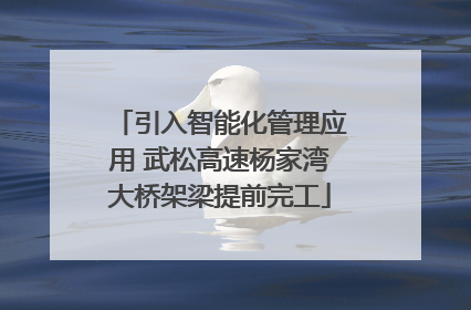 引入智能化管理应用 武松高速杨家湾大桥架梁提前完工