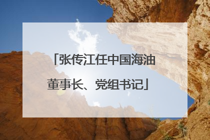 张传江任中国海油董事长、党组书记