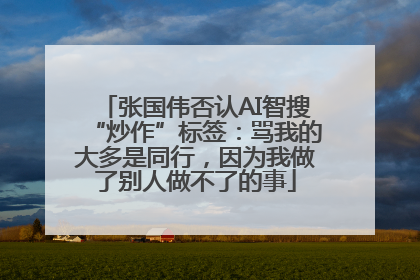 张国伟否认AI智搜“炒作”标签：骂我的大多是同行，因为我做了别人做不了的事